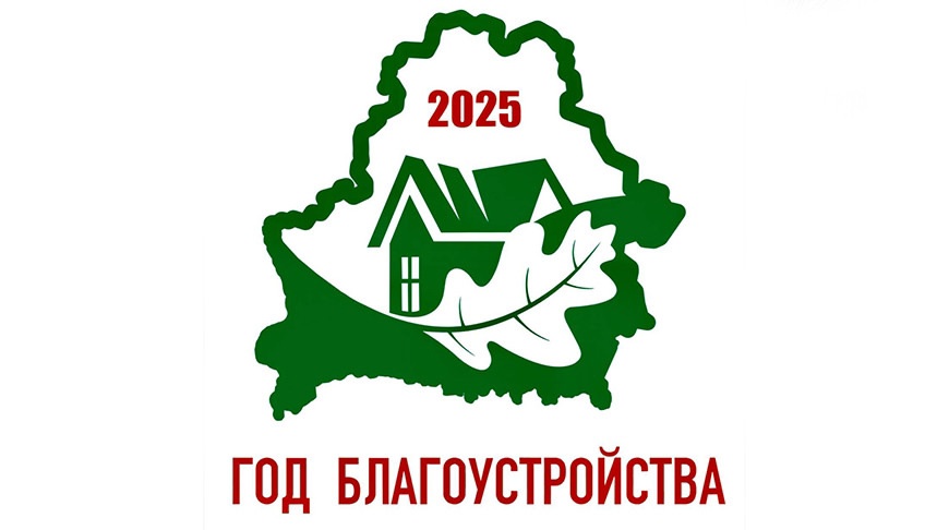Год благоустройства страны